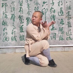 Luohan Shiba Shou (10 weeks) Online Workshop STARTS 20TH MARCH-ENDS 23RD MAY