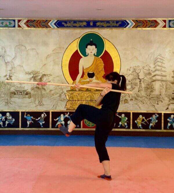 SHAO HUO GUN (LONG STAFF) FORM COURSE - 2025 - Image 2