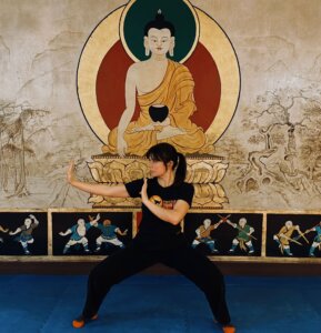 Tong Bei Quan Form – 10 weeks